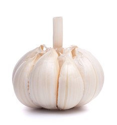 Similar image 2977433