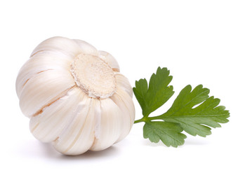 Similar image 2977436