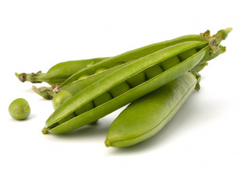 Similar image 2977441