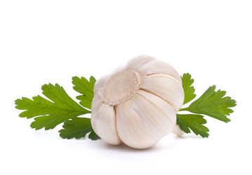 Similar image 2977442