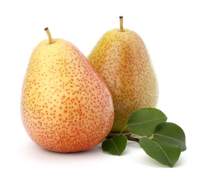 Similar image 2977453