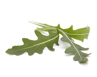 Similar image 2977477