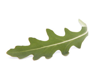 Similar image 2977510