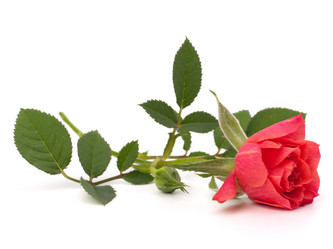 Similar image 2977523