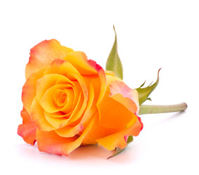 Similar image 2977536