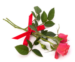 Similar image 2977556