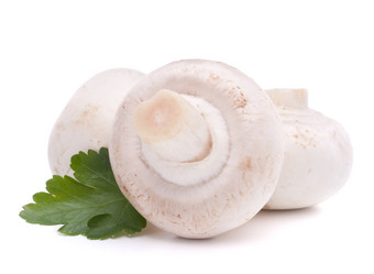 Similar image 2977573