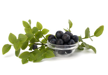 Similar image 2977607