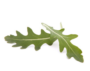 Similar image 2977609