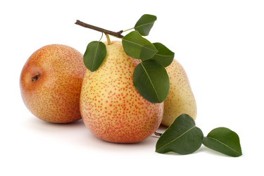 Similar image 2977631