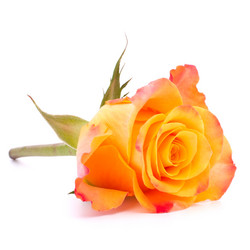 Similar image 2977635