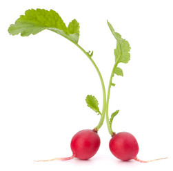 Similar image 2977669