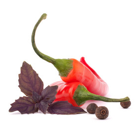 Similar image 2977725