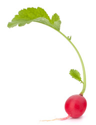 Similar image 2977727