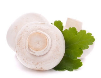 Similar image 2977728