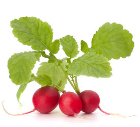 Similar image 2977731