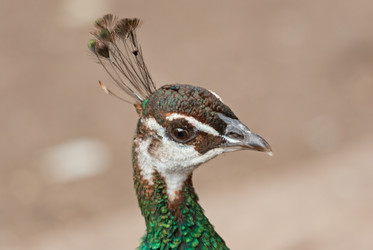 Similar image 2977744