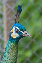 Similar image 2977745