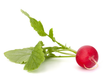 Similar image 2977971