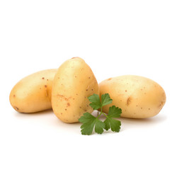 Similar image 2978004