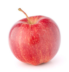 Similar image 2978039