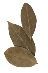 Similar image 2978058