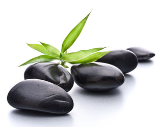 Similar image 2978065