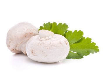 Similar image 2978092