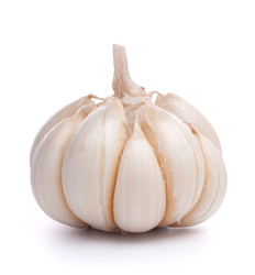 Similar image 2978110