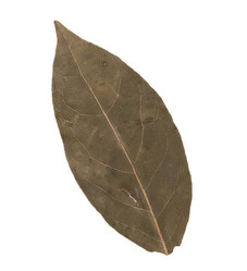 Similar image 2978130