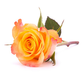 Similar image 2978146