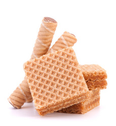 Similar image 2978152