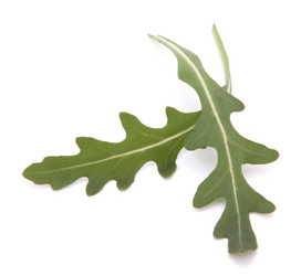 Similar image 2978153