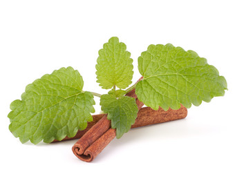 Similar image 2978157