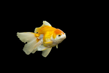 Similar image 2978178