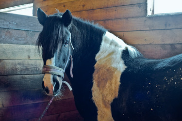 Similar image 2978196