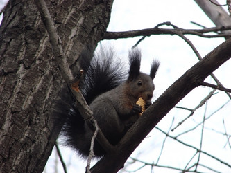 Similar image 2978217