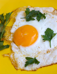 Similar image 2978278