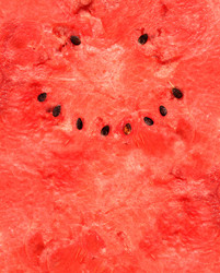 Similar image 2978323