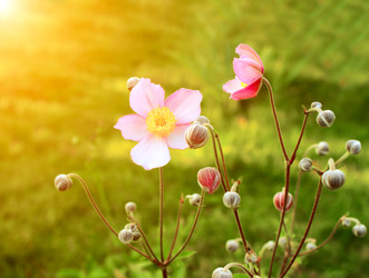 Similar image 2978326