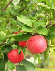 Similar image 2978329