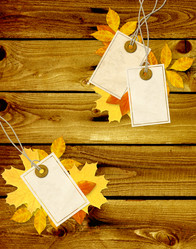 Similar image 2978335