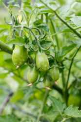 Similar image 2978412