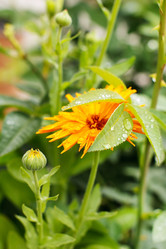 Similar image 2978414