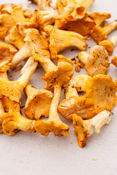 Similar image 2978415