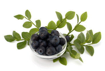 Similar image 2978420