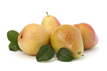 Similar image 2978422