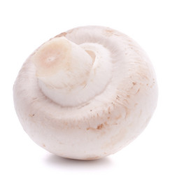 Similar image 2978427