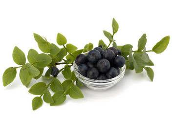 Similar image 2978430