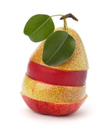 Similar image 2978434